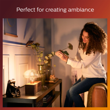 Philips LED Giant Mushroom E27 30W filament goud dimbaar