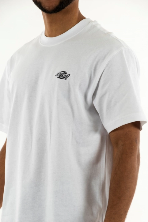 Tee shirt dickies summerdale whx1 white