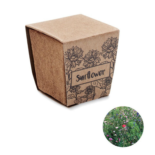 GiftRetail MO2411 - SUNFLOWER KIT Kit de tournesol
