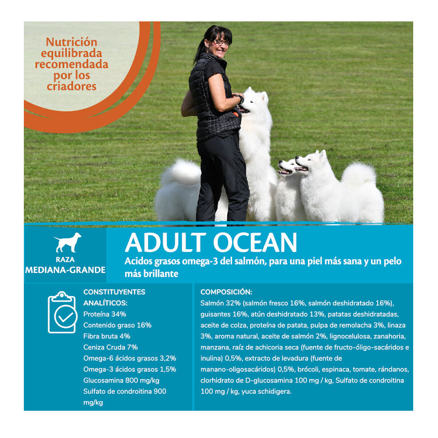 Ração para cães Wellness Core Adult de porte médio/grande, 1,8 kg, sabor salmão e atum do oceano.