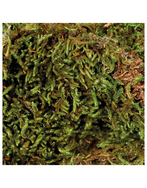 Trixie Mos - Kooi Accessoire - 200 g
