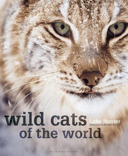 Wild Cats of the World (Hardback)