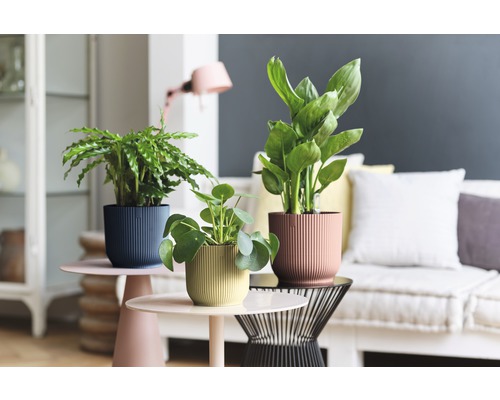 Elho Vibes opvouwbare plantenbak, kunststof, Ø 14,1 cm, H 12,9 cm, botergeel