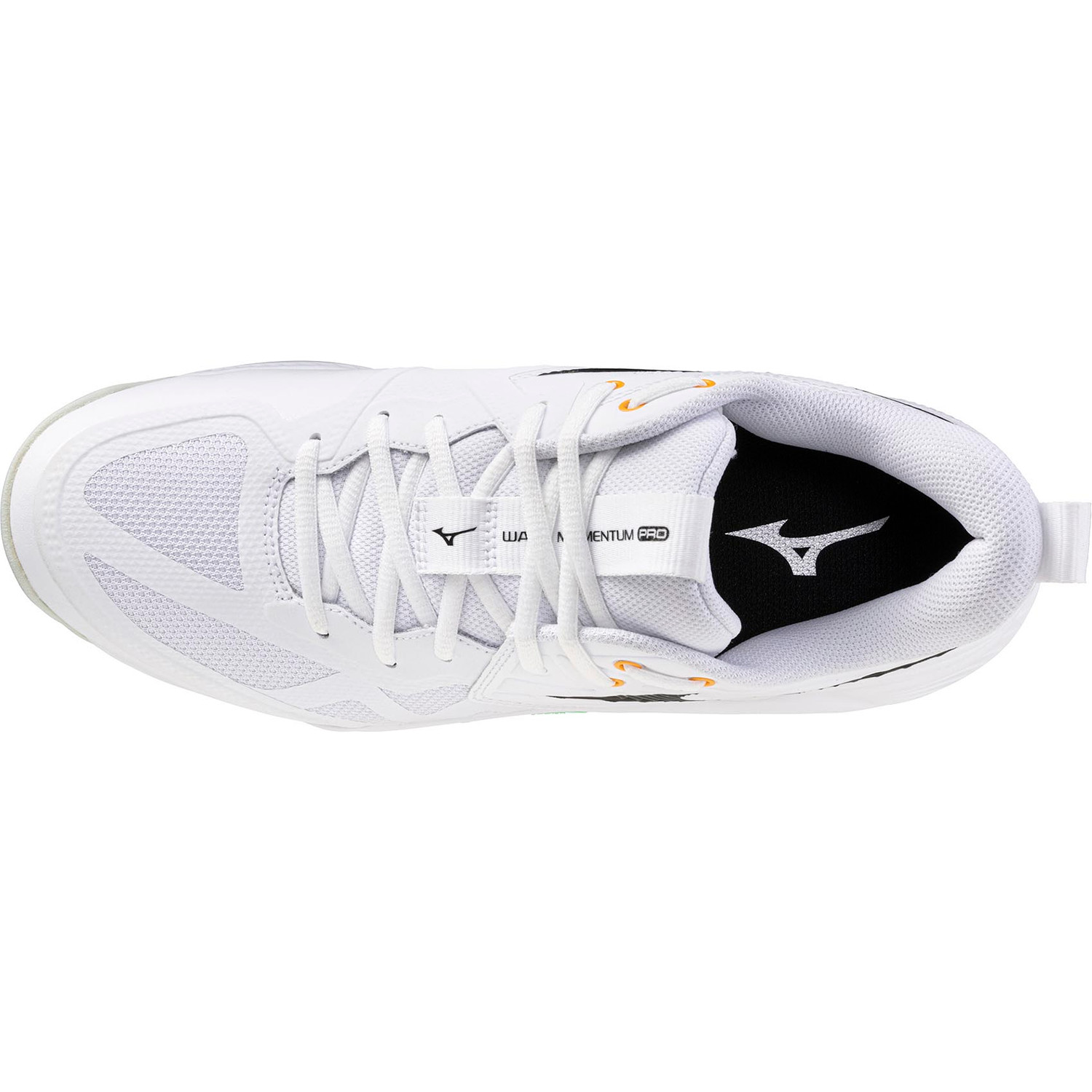 Mizuno Wave Momentum Pro