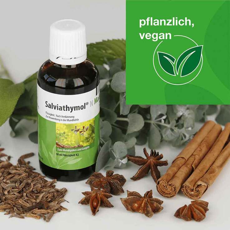 Salviathymol N Madaus Flüssigkeit, 2x100  ml