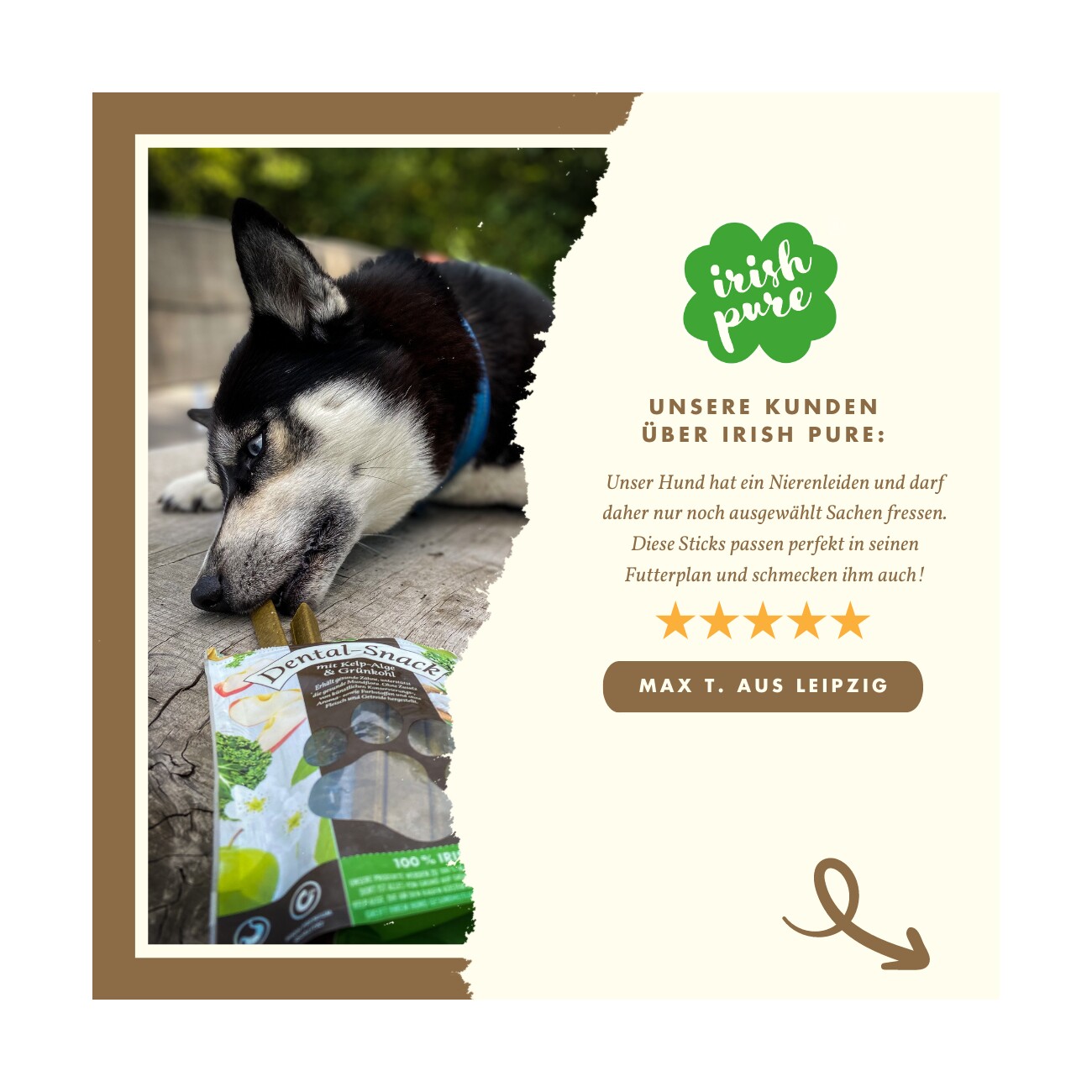 Irish Pure Dental-Snack - Kelp/Grünkohl