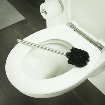 Tiger Toiletborstel RVS