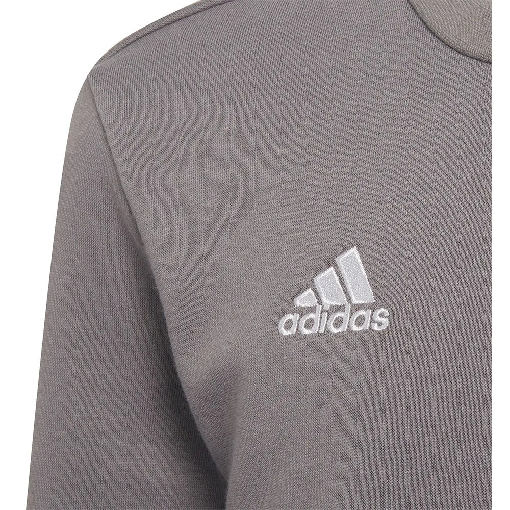 Moletom adidas Entrada 22 Stadium SW