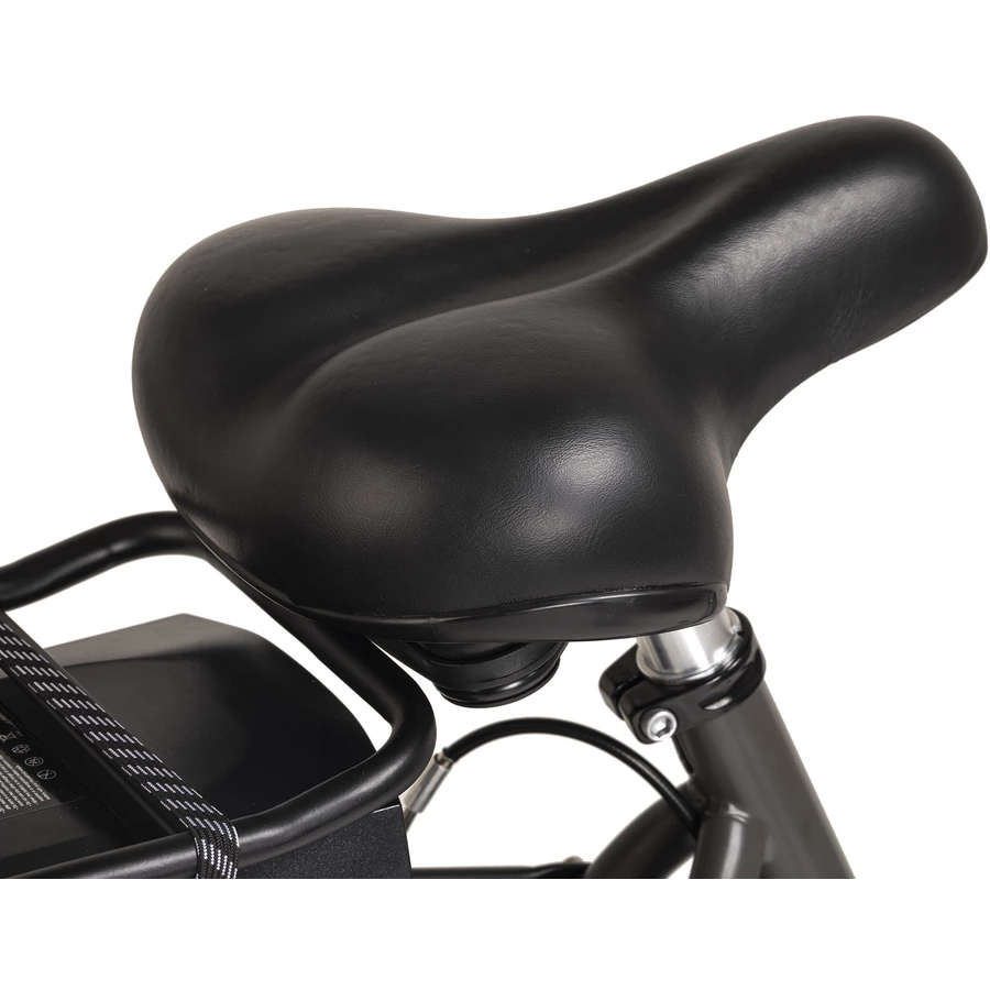 Adore E-Citybike Damen Hollandia Carry on 28'' E-Bike 3 Gänge grau