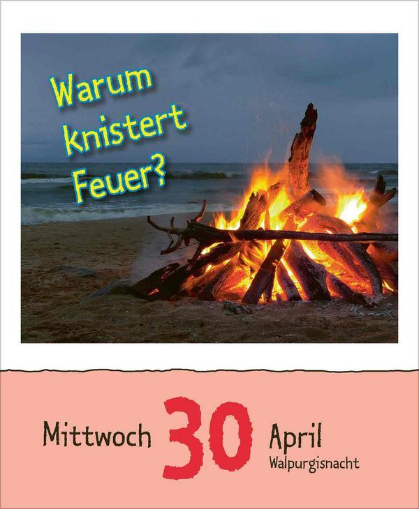 Warum wackelt Wackelpudding? 2025