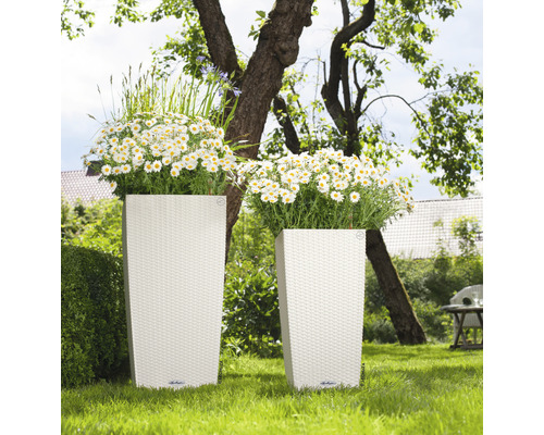 Lechuza Cubico Cottage plantenbak, kunststof, 30x30x56 cm, wit, inclusief zelfbewateringssysteem
