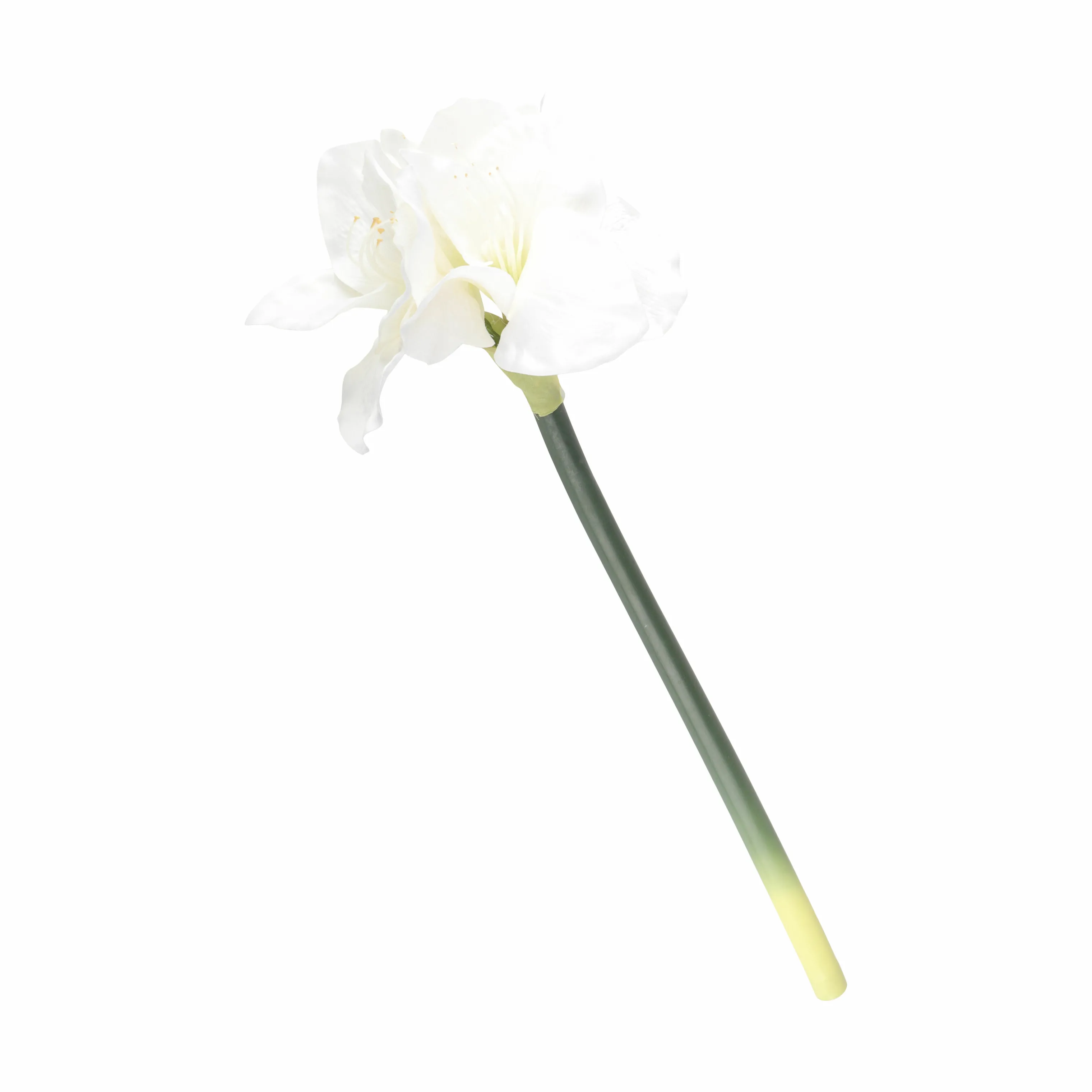 CASA Living Kunstig Blomst - Amaryllis