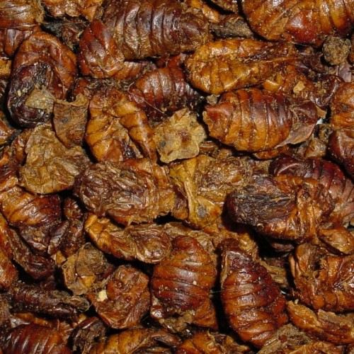 Alimento natural para peixes Koi