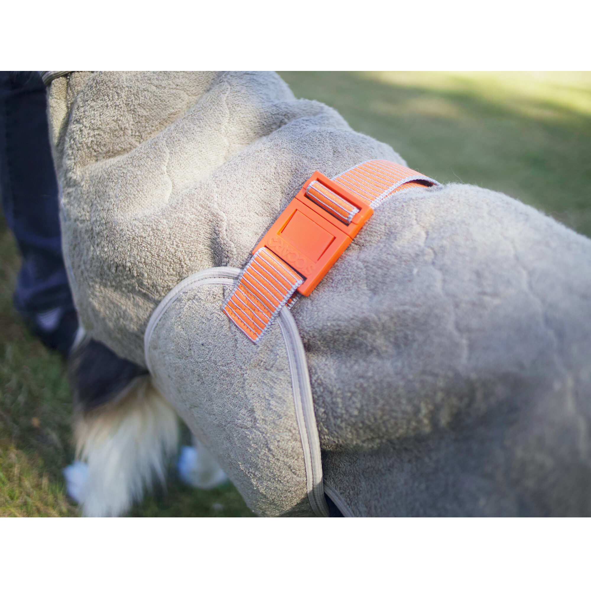 Siccaro WetDog SupremePro 2.0