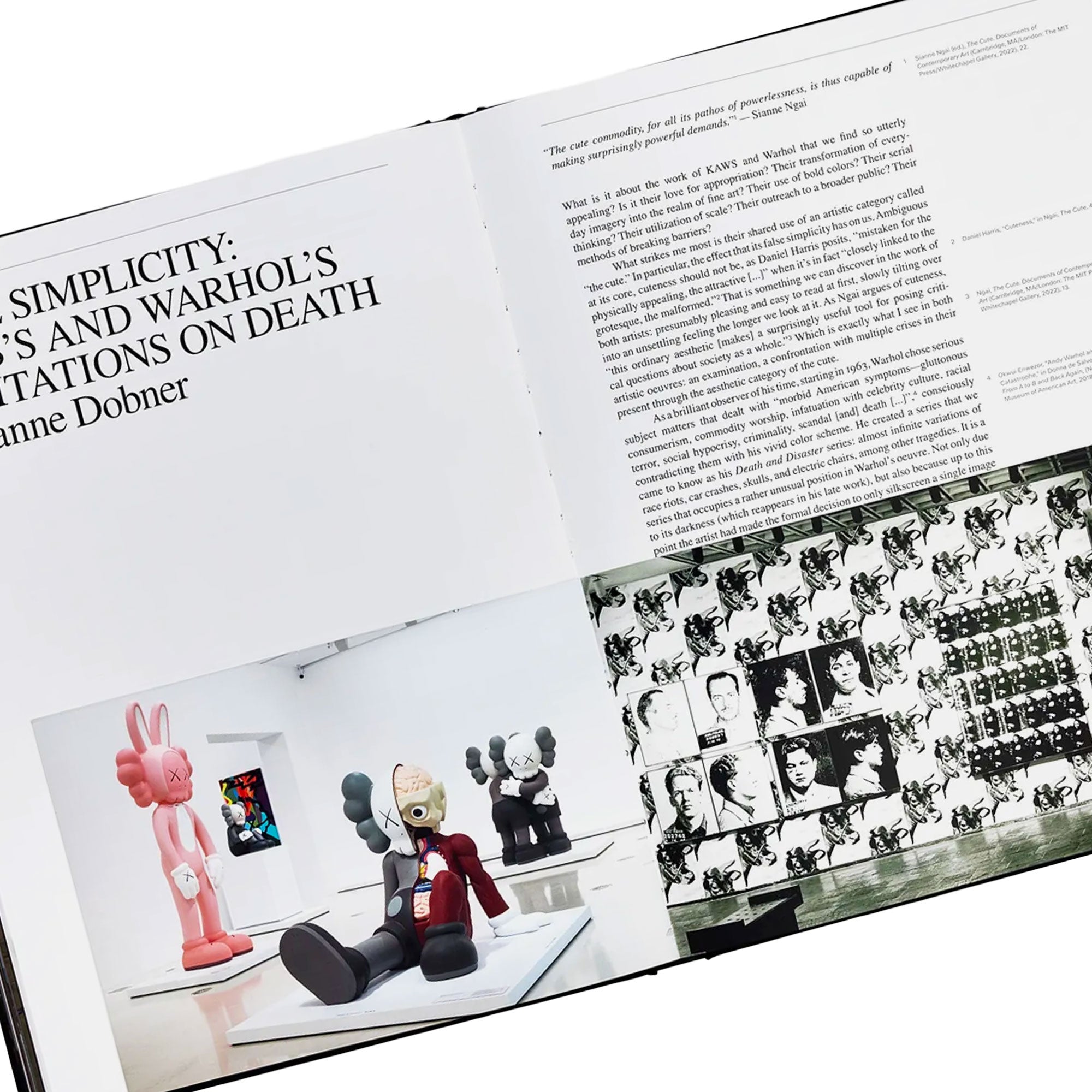 Phaidon<br>KAWS + Warhol