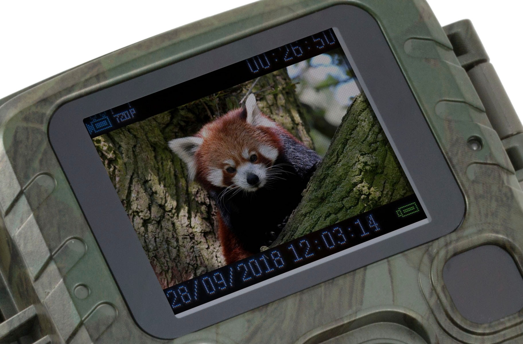 Technaxx Überwachungskamera »Mini Nature Wild Cam TX-117« Innenbereich;Aussenbereich 1 Stk. tlg.