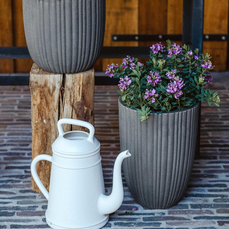 Xala Lungo Gieter