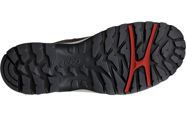 Ecco Xpedition III Herrenschuhe