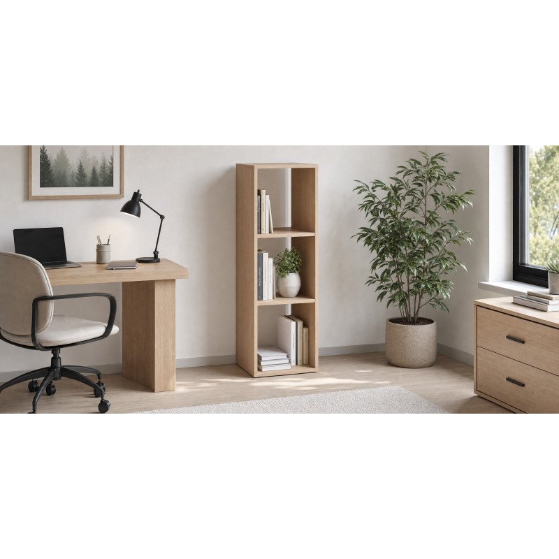 Bibliothèque Maxicube 3 cases