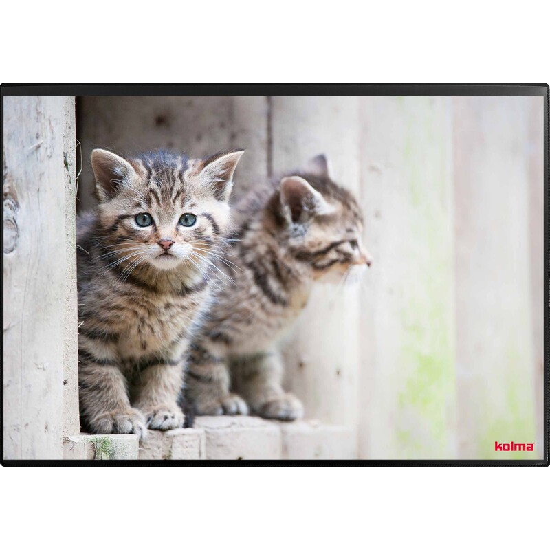 Kolma Schreibunterlage Undercover Poster, Katze