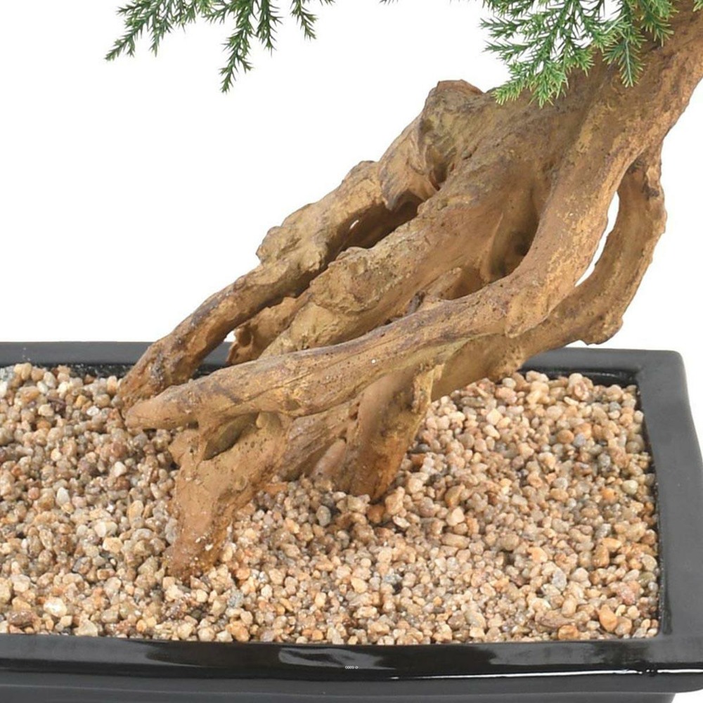 Bonsaï genévrier artificiel h 60 cm d 60 cm en pot - choisissez votre hauteur: h