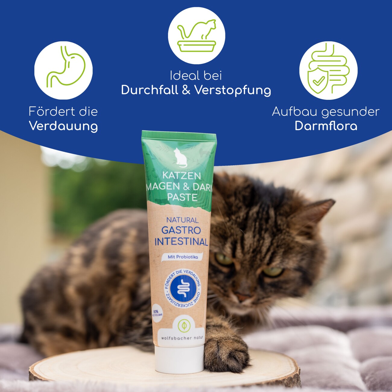 Wolfsbacher Natur Magen-Darm Paste