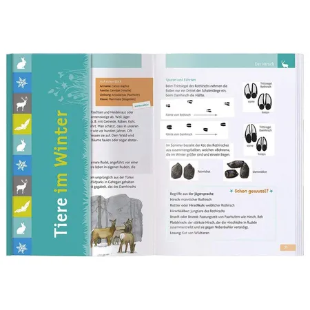 moses. Expedition Natur: Tiere im Winter