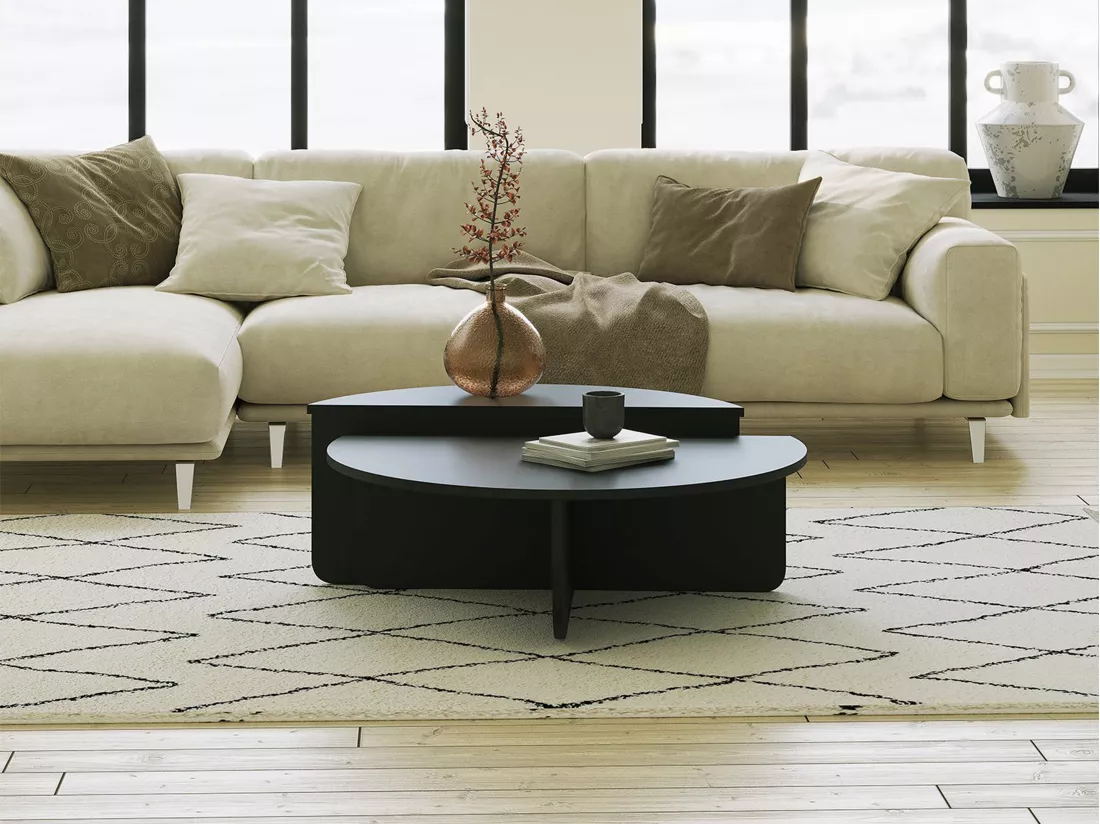 Lot de 2 tables basses - Noir - ALOEVA