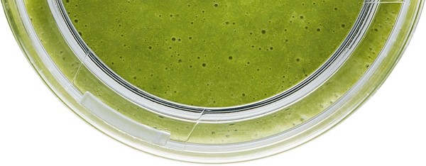 Bosch - Vacum to-go flaske (MMZV0BT1)