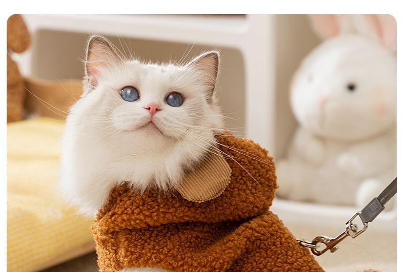 Cissilli - Chenille Pet Top met Berenoren en Capuchon