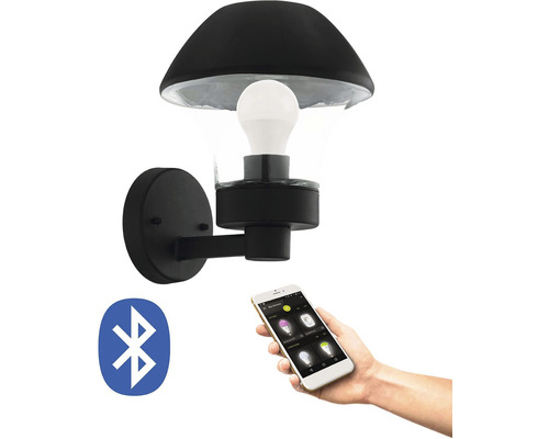 LED buitenwandlamp 9W 806 lm 3000K G26,5 cm zwart/transparant