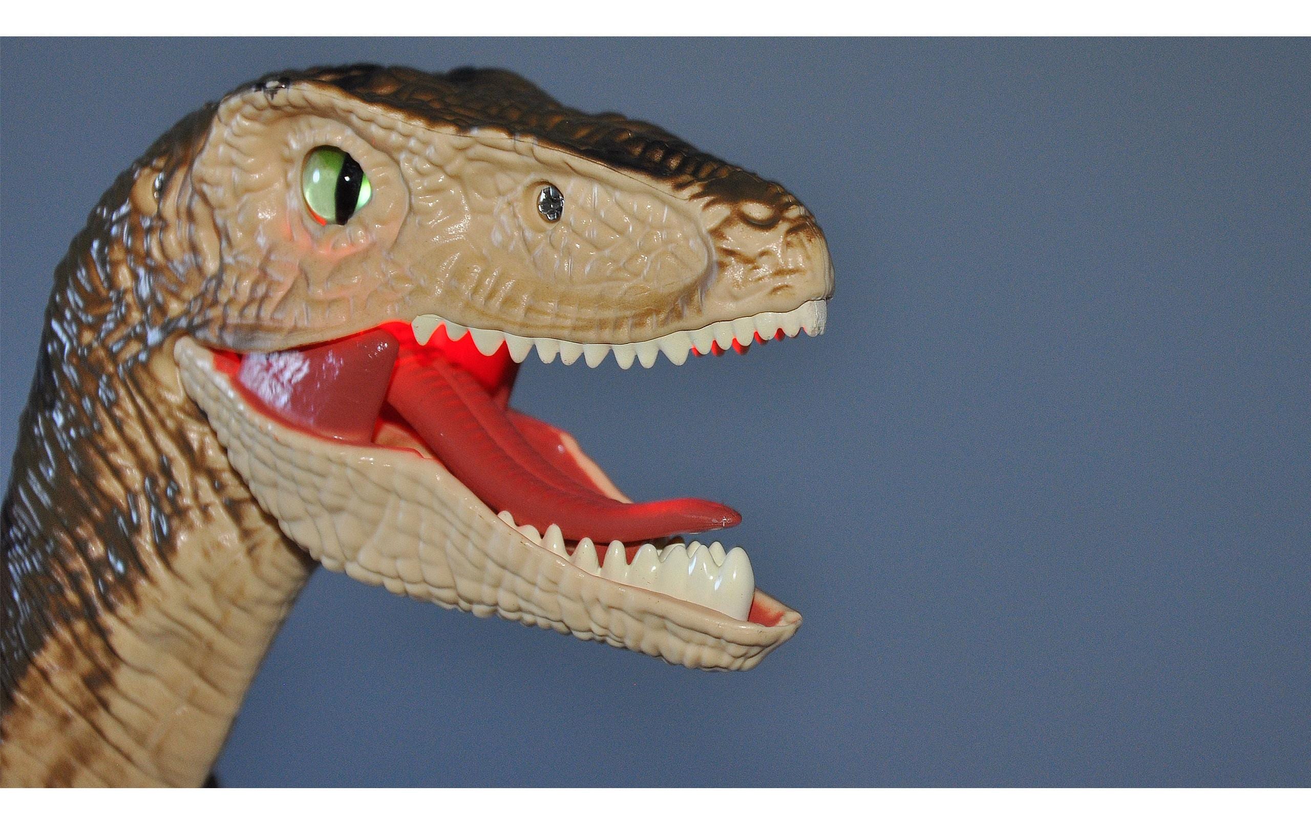 RC Dinosaurier Velociraptor, Braun RTRFerngesteuerter Velociraptor Dino