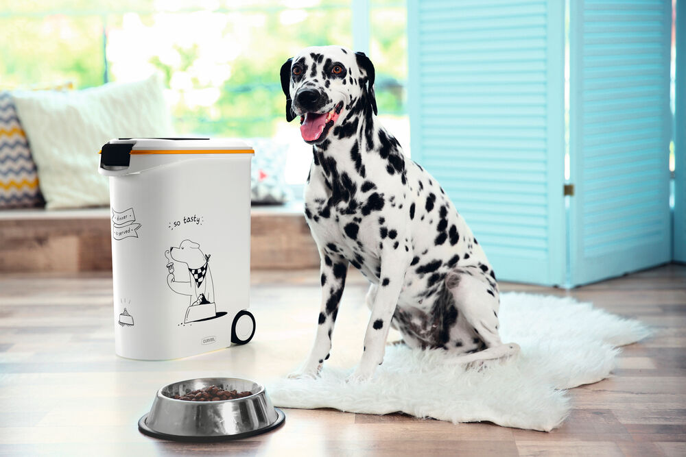 Curver Dis - Hond - Voercontainer - 54 Liter - Wit Grijs