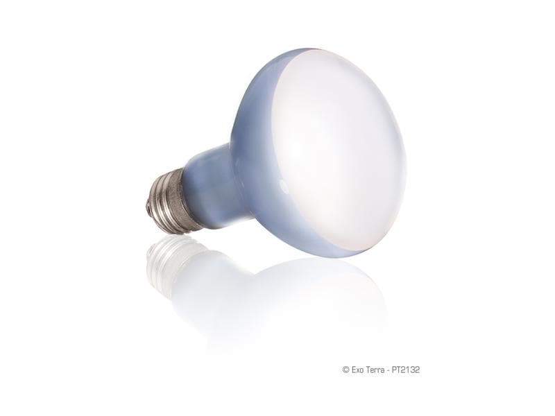 Exo Terra Terrarienlampe Daylight Basking Spot E27, R20/75W Mehrzweck-Spotlampe