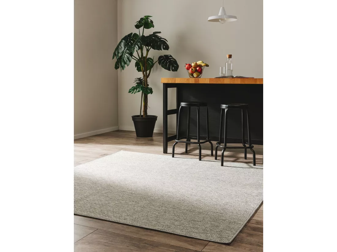 Tapis d'extérieur & intérieur Iowa Gris clair 195x195 cm