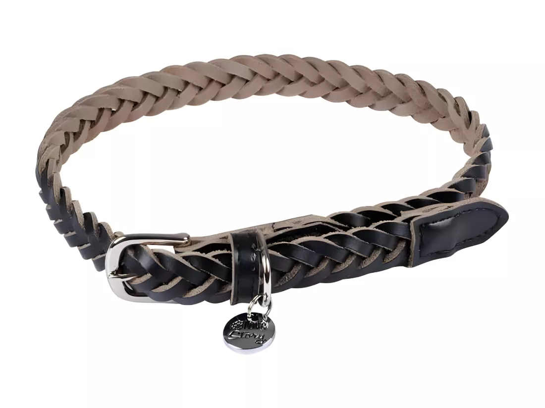 Collier pour Chien Réglable 