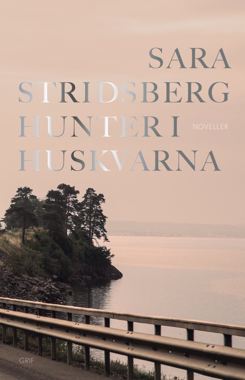 Hunter I Huskvarna - Sara Stridsberg - Bog