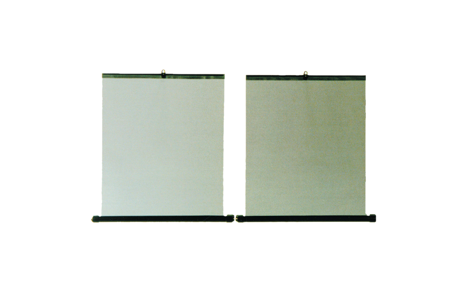 HP Autozubehör Seitenfenster Rollo universell 2 Stück 45 x 55 cm