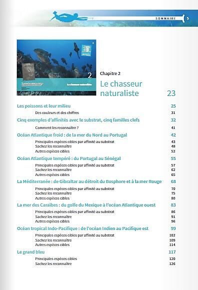 AMPHORA - CHASSE SOUS MARINE MODERNE