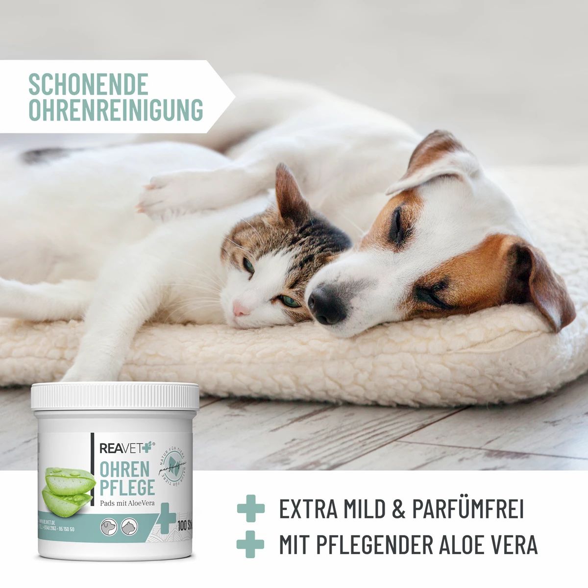 Ohrenpflege Pads - ReaVET