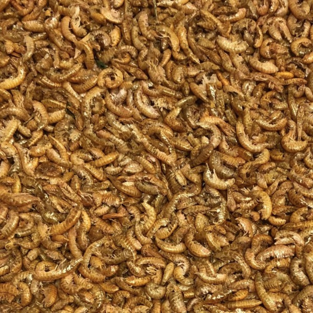 Vivani gammarus 5l/550g