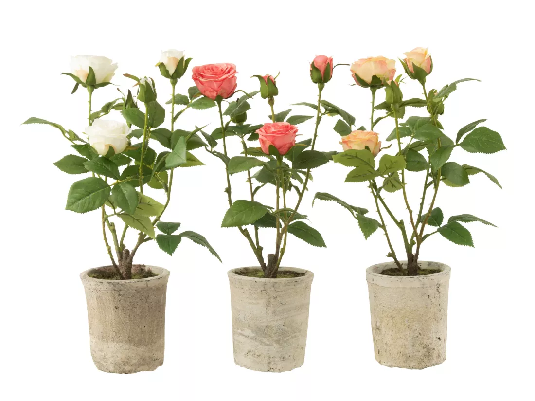 Rose 5 tetes en pot plastique/textile jaune/vert 23x23x39cm