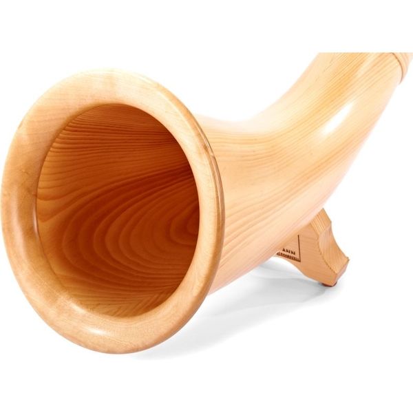 Alfons Neumann Alphorn Meisterklasse
