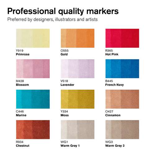 WINSOR & NEWTON™ promarker™ themenbasierte 12er-Sets