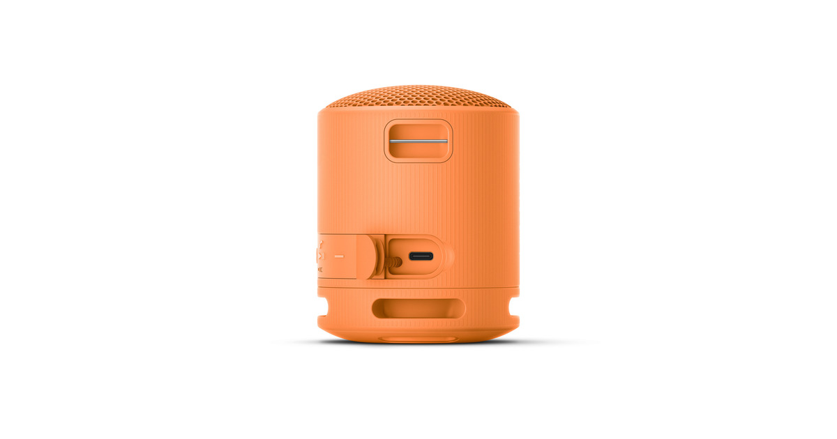 SonySRS-XB100 draagbare draadloze speaker luidspreker  (Oranje, Bluetooth 5.3)