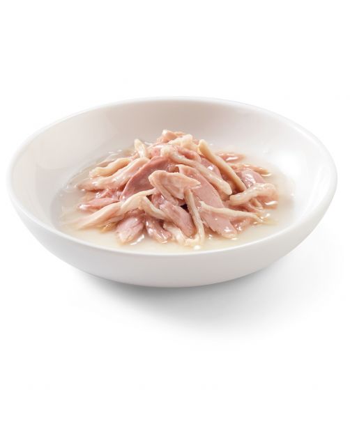 Schesir Kat Bouillon 70 g - Kattenvoer