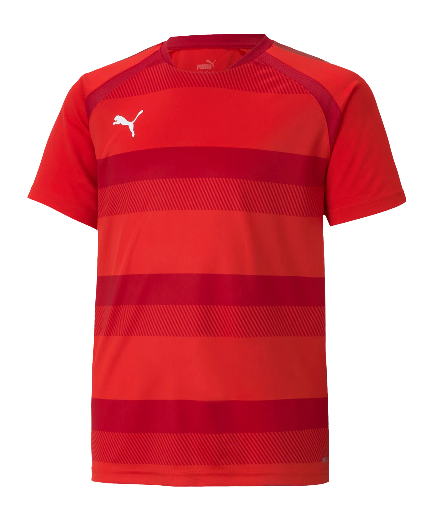 PUMA teamVISION Trikot Kids Rot F01