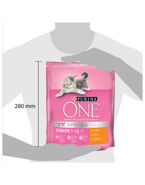 Purina One Junior - Kattenvoer - Kip Granen 800 g