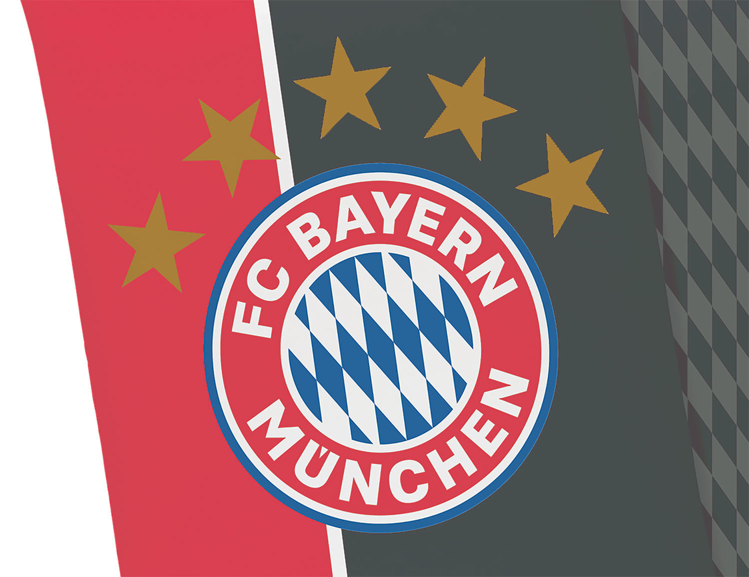 FC Bayern Bettwäsche Mia San Mia