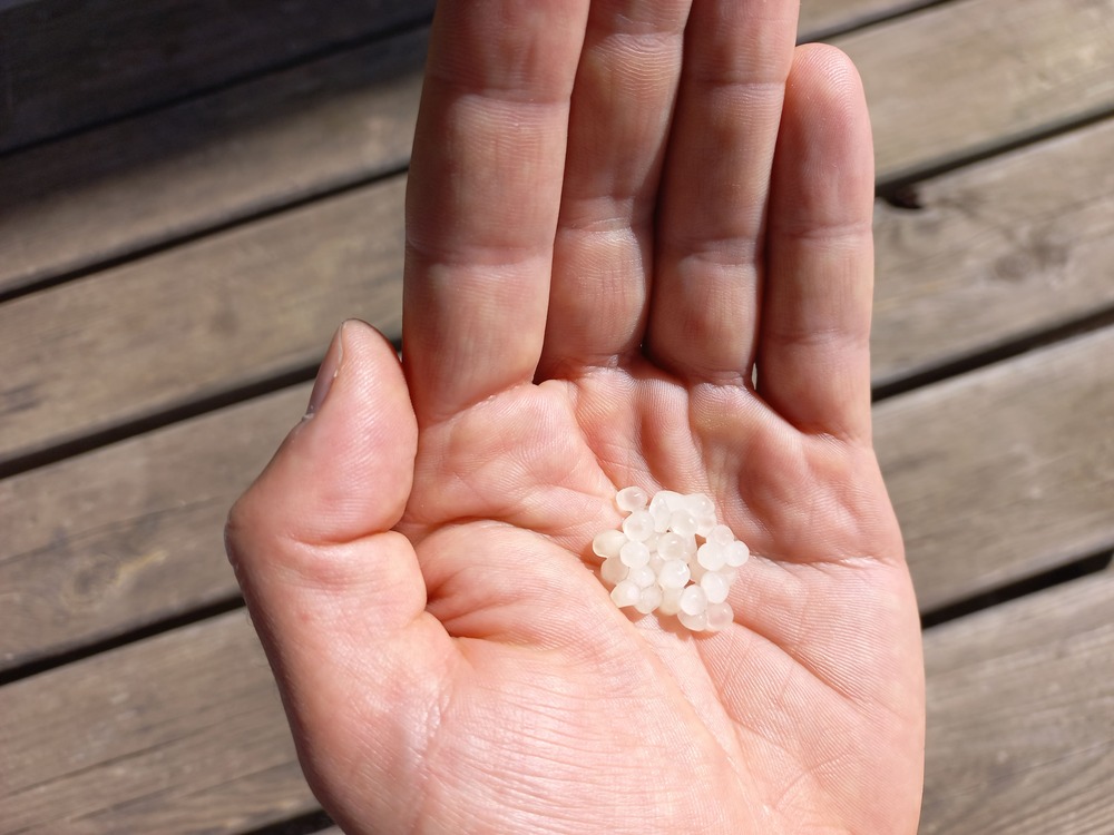 Nématodes mouches des terreaux en micro-capsules par 200
